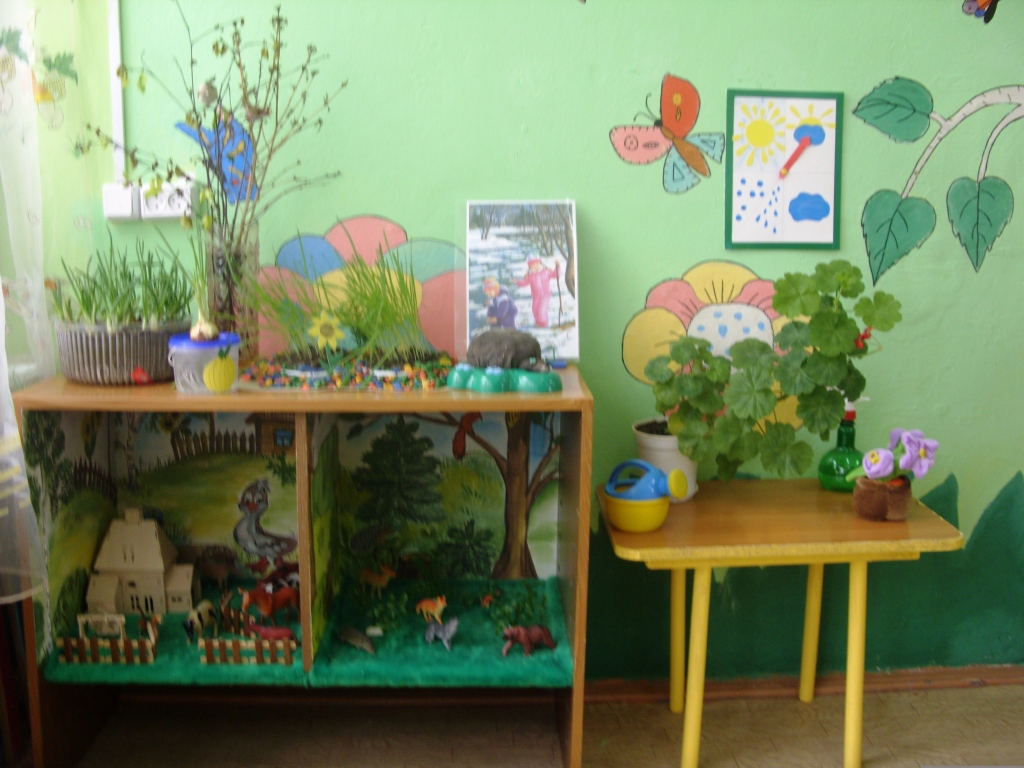 Требования к уголкам природы в детском саду
